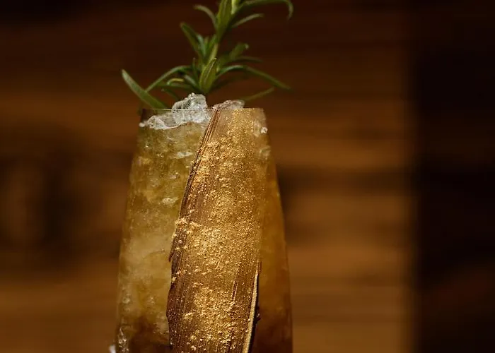 莫诺普尔卡托维兹酒店 5* 卡托维兹